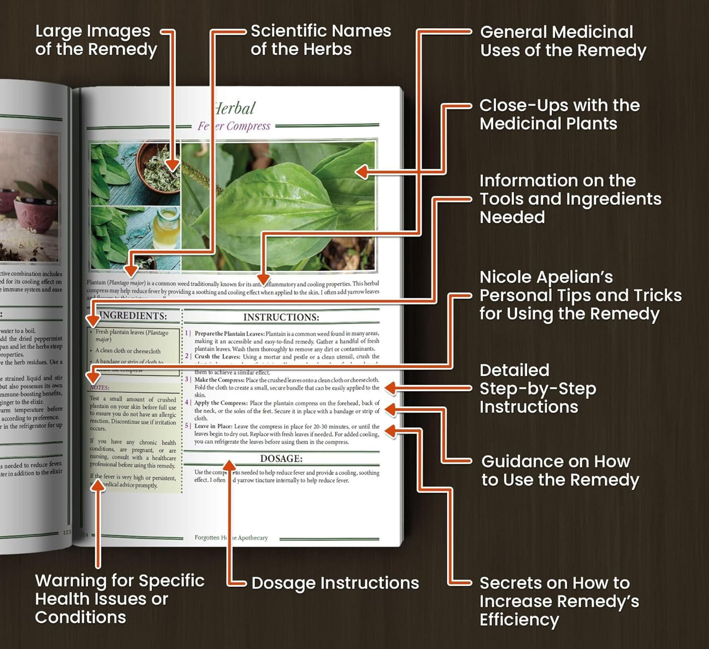 The Handbook That’s Helping People Over 50 Sleep Better, Hurt Less, and Feel Like Themselves Again