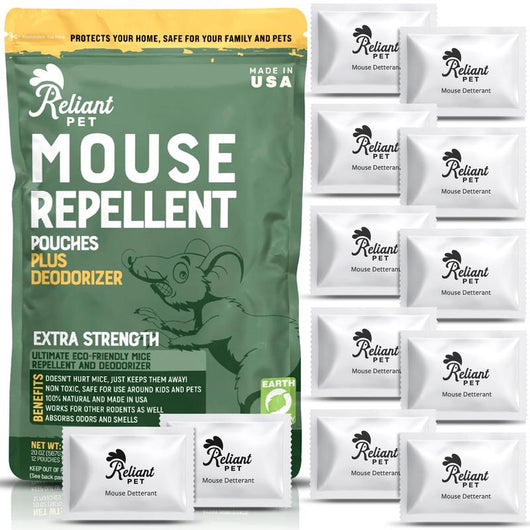 Fini les souris – Une solution efficace, sans poison et sans danger pour votre famille
