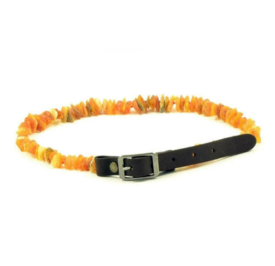 Collier anti-tiques en ambre