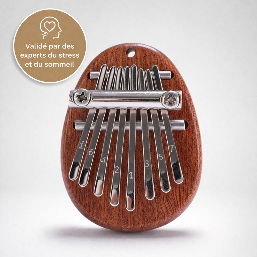 Bien plus qu'un instrument de musique.