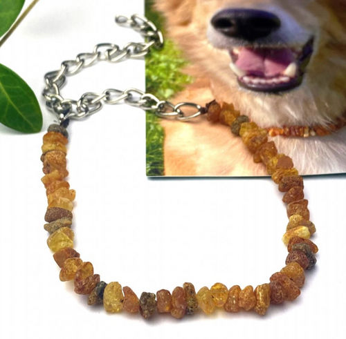 Collier d'ambre Velora. Protégez votre chien des tiques