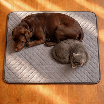 Le tapis rafraîchissant premium pour chiens. Confort immédiat dès les premières secondes.