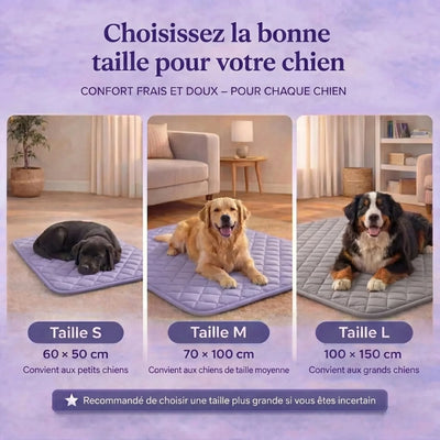 Le tapis rafraîchissant premium pour chiens. Confort immédiat dès les premières secondes.