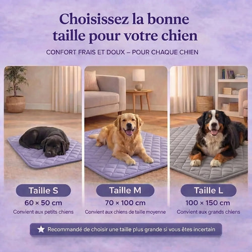 Le tapis rafraîchissant premium pour chiens. Confort immédiat dès les premières secondes.