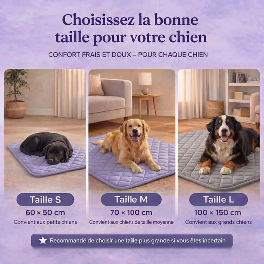 Le tapis rafraîchissant premium pour chiens. Confort immédiat dès les premières secondes.