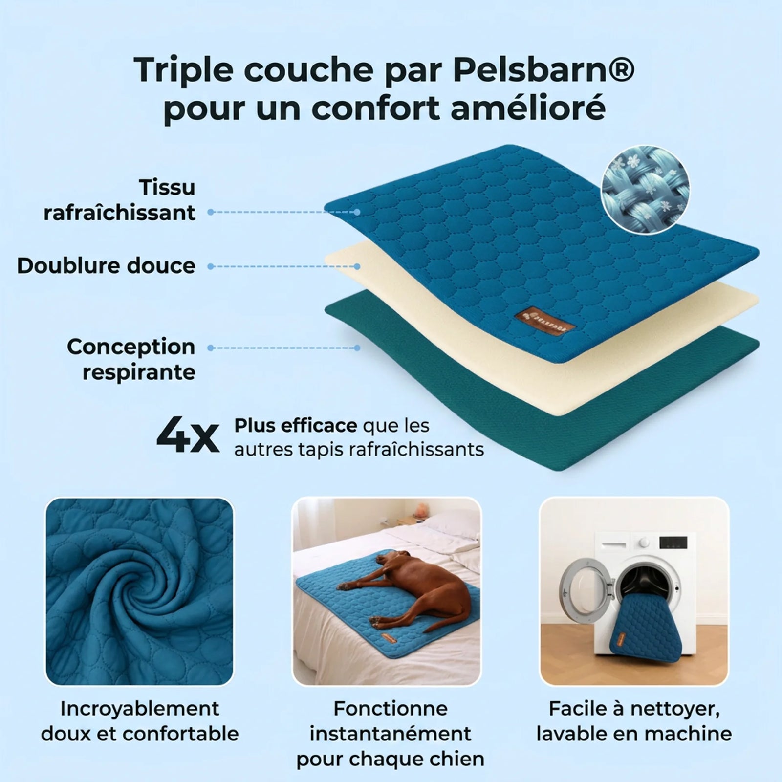 Pourquoi votre chien souffre