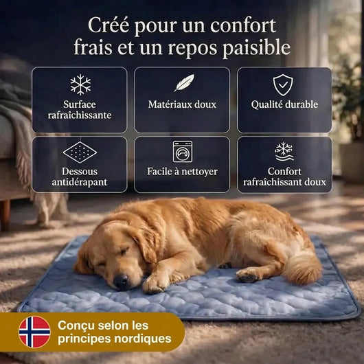 Le tapis rafraîchissant premium pour chiens. Confort immédiat dès les premières secondes.